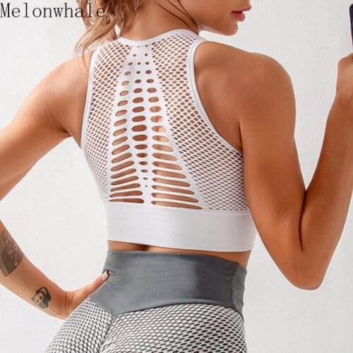 Melonwhale Sports Bras