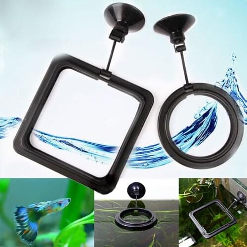Floating fish feed feeding circle hot selling bathtub convenient feeding circle aquarium floating food tray feeder аквариум #W