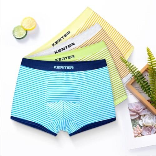 2Pcs/lot Cartoon Boys Underwear Soft Breathable Kids Boxer for 3-16Yrs Baby Panties Boy Briefs Underpants