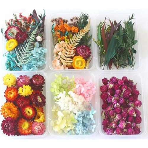 1 Box Real Natural Dried Flower Dry Plants Making Craft DIY Colorful Aromatherapy Candle Epoxy Resin Jewelry For Home Decoration