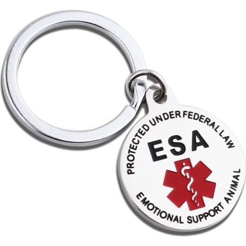 Epipen Tag, Epipen Bag Tag - Zipper Pull - Entirely Surgical Stainless Steel Medical Alert Symbol ID Tag Keychain Charms