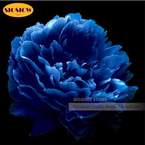 5D DIY Peony Flower Diamond Painting Crystal Full Drill Square 3D Daimond Mosaic Embroidery Rhinestones Cross Stitch Art Gifts