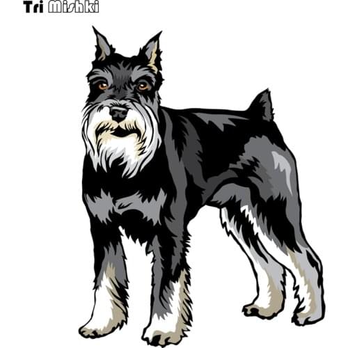 Tri Mishki WCS314 12x16cm colorful Schnauzer Dog funny car sticker funny stickers auto automobile decals