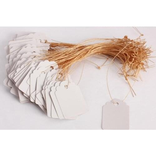 100Pcs/lot Plants Hang Tag Gardening Labels Signs Seedling Garden Flower Pot Number Plate Hanging Tags Reusable PVC Garden Tools