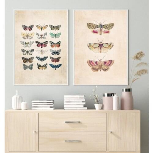 Wall Art Poster Canvas Painting Vintage Bat Retro Butterfly Insect Natural For Living Room Home Interior Decoration Picture