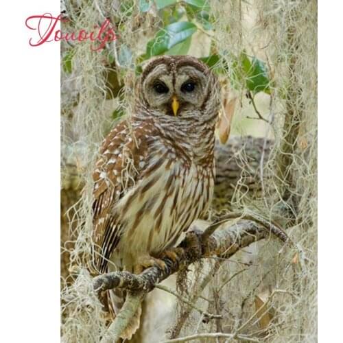 Full square&round diamonds 5D DIY diamond embroidery owl 5d diamond painting cross stitch rhinestone mosaic decoration gift