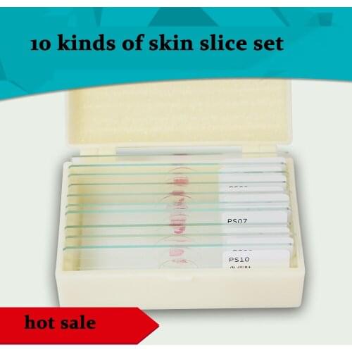 10pcs Microscope Skin Tissue Section Set Biological Specimen Demo Hair Follicles Sole Skin Eyelids Hairless Skin Bird Skin