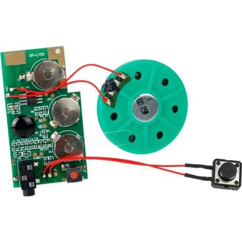 EKSEN Sound Module, Push Button Activate 120 Seconds Voice Sound Recorder Module for DIY Gifts. Easy to Record