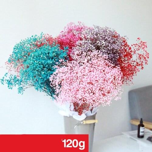 120g Natural Babysbreath Gypsophila Million Stars Fresh-Cut Preserved Dried Flower Photograph For Garden Room Home Decoration