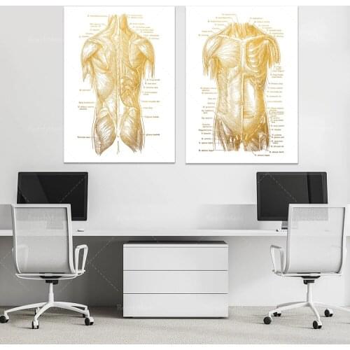 Body Anatomy Physiotherapy Print Set 2-Massage Therapy Gift-Human Anatomy Art-Gym Wall Art-Anatomy Poster