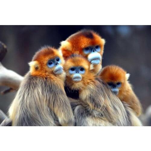 Diamond Mosaic 5D Diy Diamond Embroidery Golden Monkey Family Diamond Painting Cross Stitch Floral Rhinestone Decoration Sticker