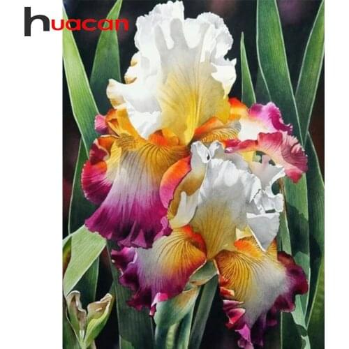 Huacan Full Square Diamond Painting Flower Iris 5D DIY Diamond Embroidery Mosaic Kit Cross Stitch Rhinestone Pictures Home Decor