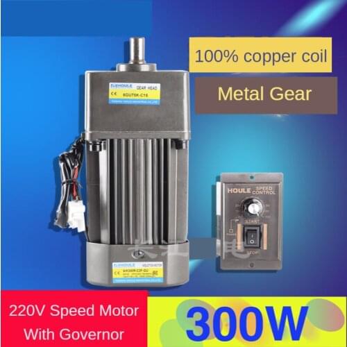 6IK300R-C2F-GU AC220V 300W Geared Motor, Reversible, High Torque, Speed Control Motor + Speed Controller