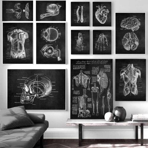 Human Anatomy Artwork Medical Poster Wall Art Picture Skeleton Organ Muscle Black and White Print Body Education Canvas Painting