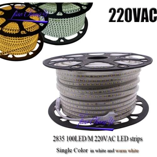 220VAC Led Strip 2835 100Leds/M IP67 Waterproof With Power Adapter Flexible LED Tape Ribbon Outdoor 1M/2M/3M/4M/5M/10M