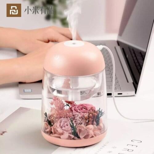 Youpin Fun Home Air Humidifier Diffuser Everlasting Flower USB Colorful Atmosphere Lamp Portable Humidifiers Mini Mist Maker New