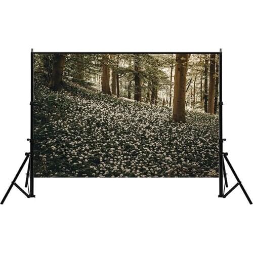 150/225cm Frameless Spring Scenery Photography Backdrop Grassland Fairy Forest Photo Background for Children Girls Backdrop
