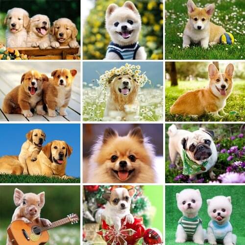 New Product 5D Diamond Painting Dog Full Square/Round Diy Diamond Embroidery Animal Mosaic Rhinestone Artist Home Decoration