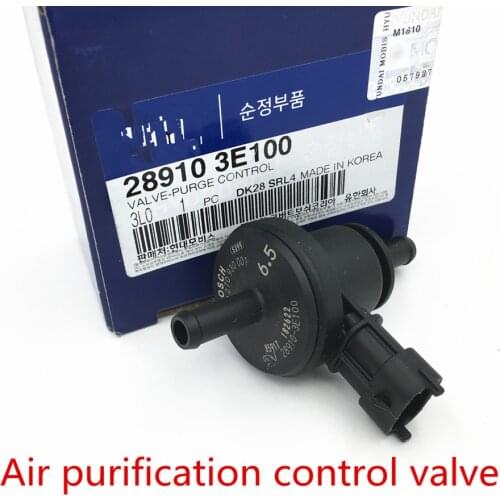 Air purification control valve FOR Hyundai AZERA 05 SANTA FE 06-09 GRANDEUR 05-14 OPIRUS 06 SONATA\HYBRID 289103E100