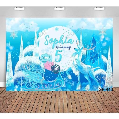 Photography Backdrop Cartoon Frozen Party Snow Princess Birthday Party Baby Shower Photo Background Photo Studio