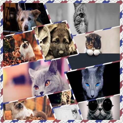 Bead Embroidery Animal Blue Cat Blue Eyes Diamond Painting Cross Stitch Set Painting Home Decoration Square Diamond Round