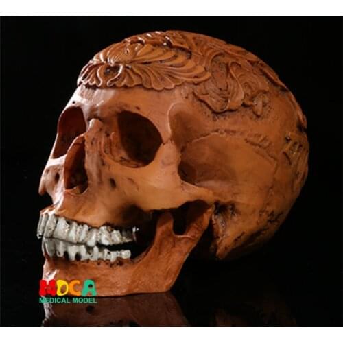 Human.skull model medical simulation teaching equipment resin skull Ornament Gift YTTG016
