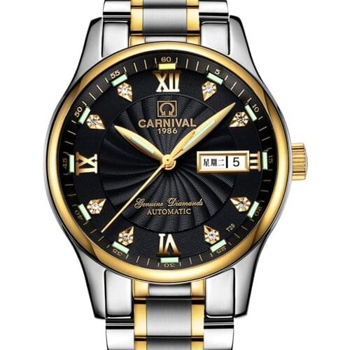 Carnival Mens Tritium Luminous Waterproof Steel Watchband Automatic Mechanical Watch Wristwatch - gold case black luminous