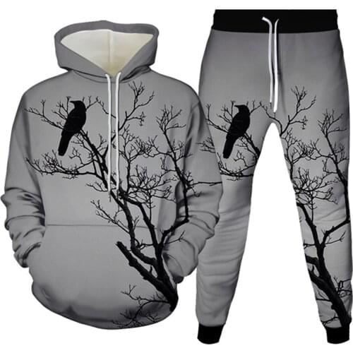 2Pc Set Tracksuit Men Hoodie+Pants Suit Animal Phoenix Eagle Frog Crow Owl Peace Dove Bird Flamingo Print Women Harajuku Clothes