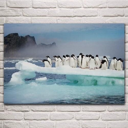 Adelie penguins Island Antarctica animal nature scenery living room decor home art decoration wood frame fabric poster KM935