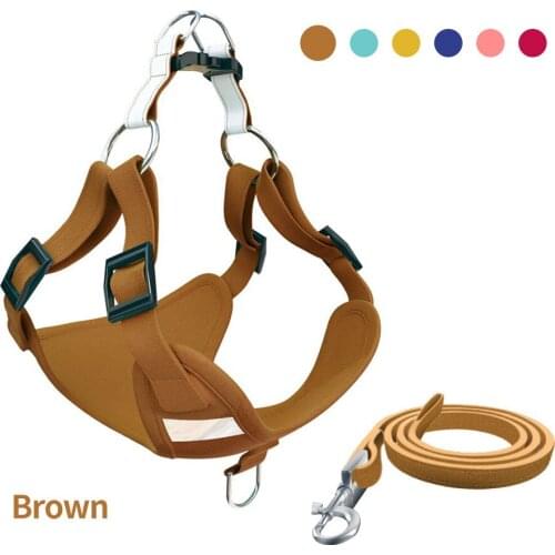Pet Supplies Dog Vest Type Traction Rope Chest Back Suit Reflective Dog Rope Suede Cat Chest Back