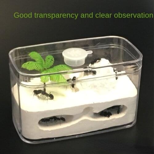 Ant Castle Ant Workshop Children Observe Small Insects Transparent Nest Mini Ecological Environment Active Area