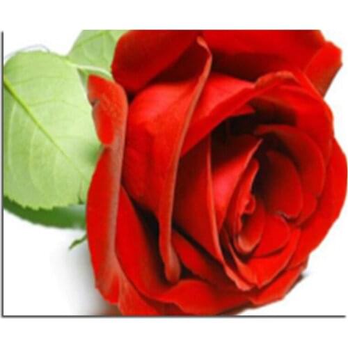 3D Red Roses Cross Stitch DIY Suit Pattern Embroidered Diamond Diamond Rhinestone Family Decorated Sitting Room