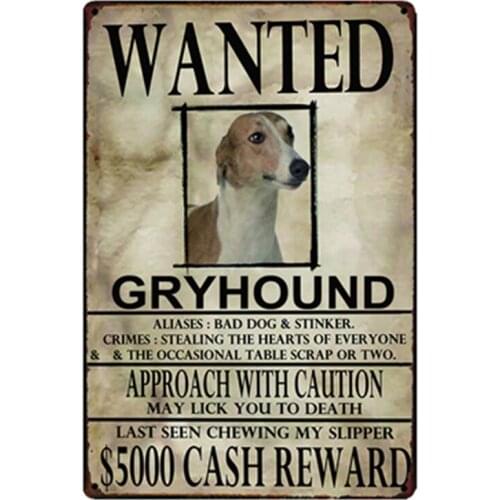 [ Kelly66 ] Gryhound Dogs Wanied Metal Sign Tin Poster Home Decor Bar Wall Art Painting 20*30 CM Size y-2094