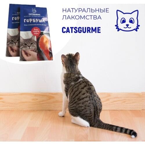 Ветаптека Catsgurme China At AliExpress
