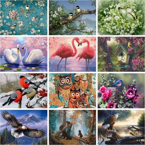 AZQSD Paint By Numbers For Adults Animal Birds Owl Bear Eagle Swan Picture Oil Painting By Numbers Gift Modern Decor Home