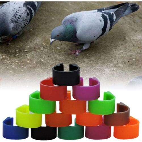 100 Pcs Multi-color Bird Foot Ring Species Identify Dove Bands Training Rings Pet Bird Label Sign for Pigeon Quail Lovebirds
