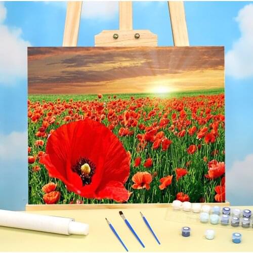Poppy Flower DIY Paint By Numbers Set Acrylic Paints 50*70 Canvas Painting Wall Paintings For Wholesale