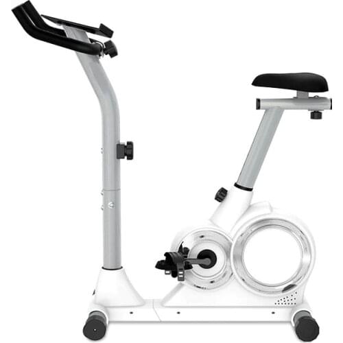 Spinning Bike Adult Silent Home Exercise Bike Smart Fitness Equipment Indoor Weight Loss Adjustable Pedal Bike Sports Magnetron