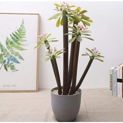 66cm6 Fork Artificial Rare Plants Potted Tropical Cactus Bonsai Indoor Art Landscaping Hotel Office Living Room Home Deco Plants