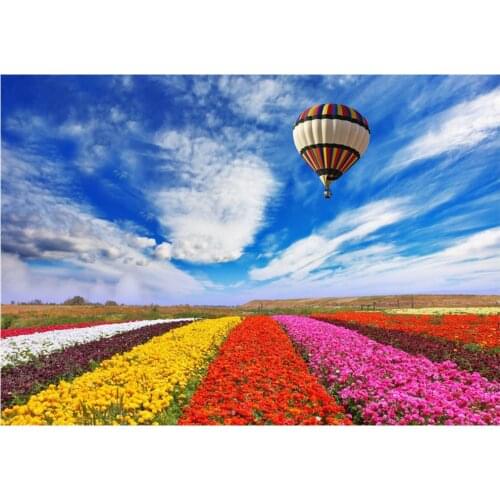 Round full diamond 5D DIY diamond painting rural hot air balloon landscape diamond embroidery kit home decoration