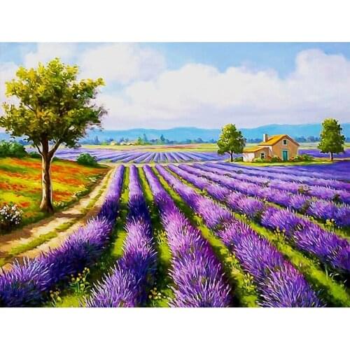 Paint By Number lavender Drawing On Canvas Scenery Hand Painted Painting Art Gift DIY Pictures By Numbers Home Decor