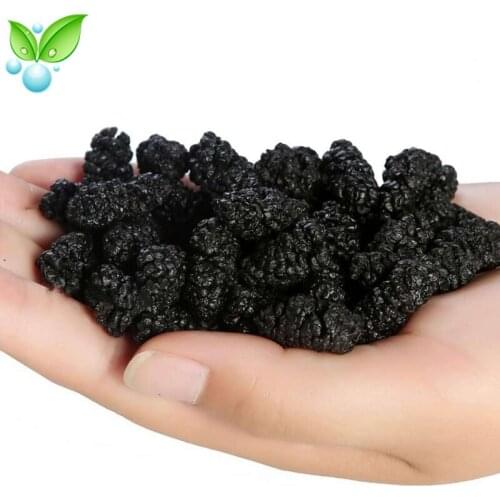 Dried Mulberries,Dried Organic Black Mulberries,Sang Shen Zi,Organic Sun Dried Black Mulberries,Quality Dried Mulberry Fruit