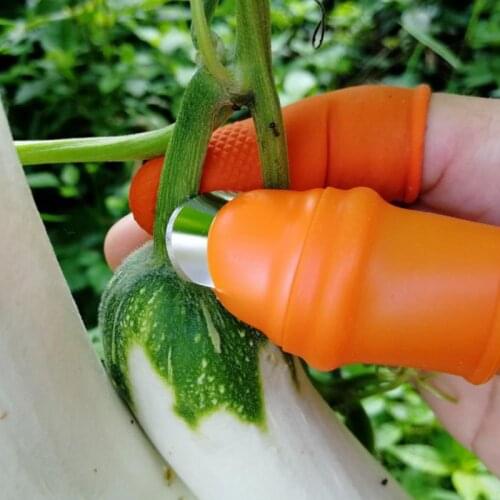 Farm Groente Fruit Picker Augurk Peper Augurk Tip Picker Iron Nail Pick Druif Picker Voor Tuin Boomgaard En Groente Patch