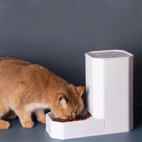 Siphon Auto Cat Water Bowls Feeder For Cats Small Dogs Basin Drinking Puppy Food Bowl Pet Supplies Kitten Food Dispenser 3.6L