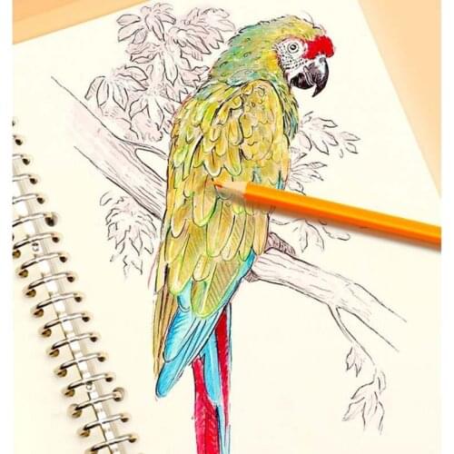 Finleytang Notepads To The Point