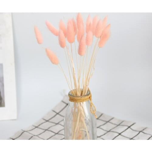 Home Simulation Flower Plant Immortal Flower Bouquet Home Decoration Photo Props Color Rabbit Tail Grass Reed Grass