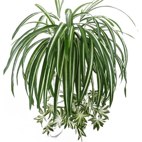 5 Head Artificial Flowers Plants Wall Hanging Chlorophytum Potted Green Plants Fake Simulation Flower Living Room Decor 65cm