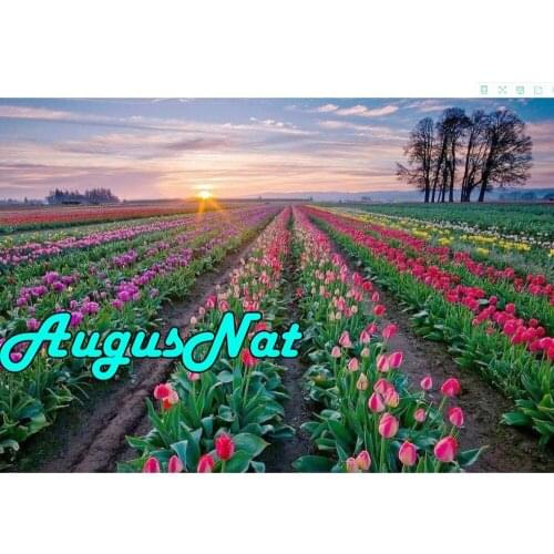 Sunset tulips diamond painting full round flower daimand mosaic floral feild diamant painting puzzle picture diamont embroidery