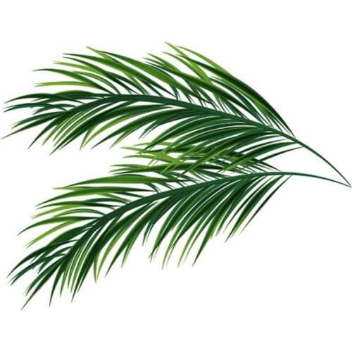 Creative Simple leaves Wall sticker Living room wall edge home decoration removable wallpaper wall corner background stickers