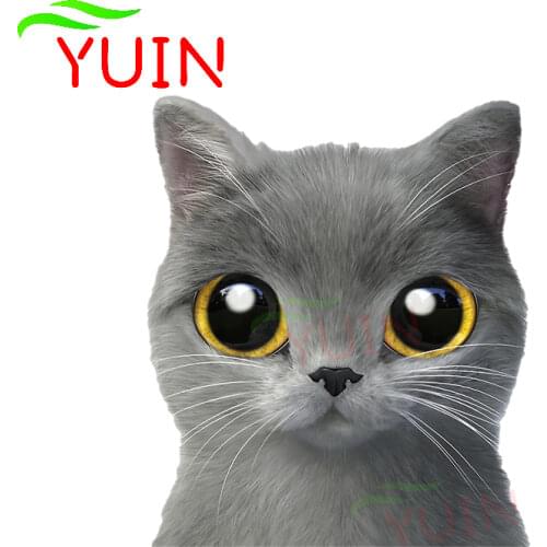 Cute Hole View Vivid Cat Personality Car Sticker Home Wall Bathroom Toilet PVC Motorcycle Decoration Sunscreen Decals 13*13cm